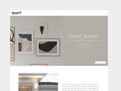 Duram Smart Paint clean color home minimal paint unused concept website