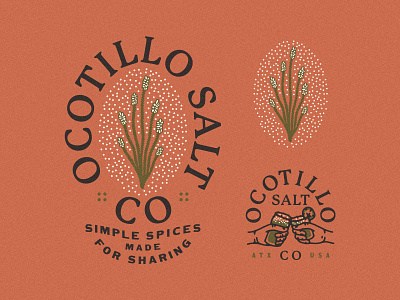 Ocotillo Salt Co Logos branding branding and identity branding concept branding design chile desert desert illustration desert plants lime logo ocotillo salt spices
