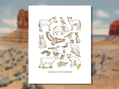 Desert Animals