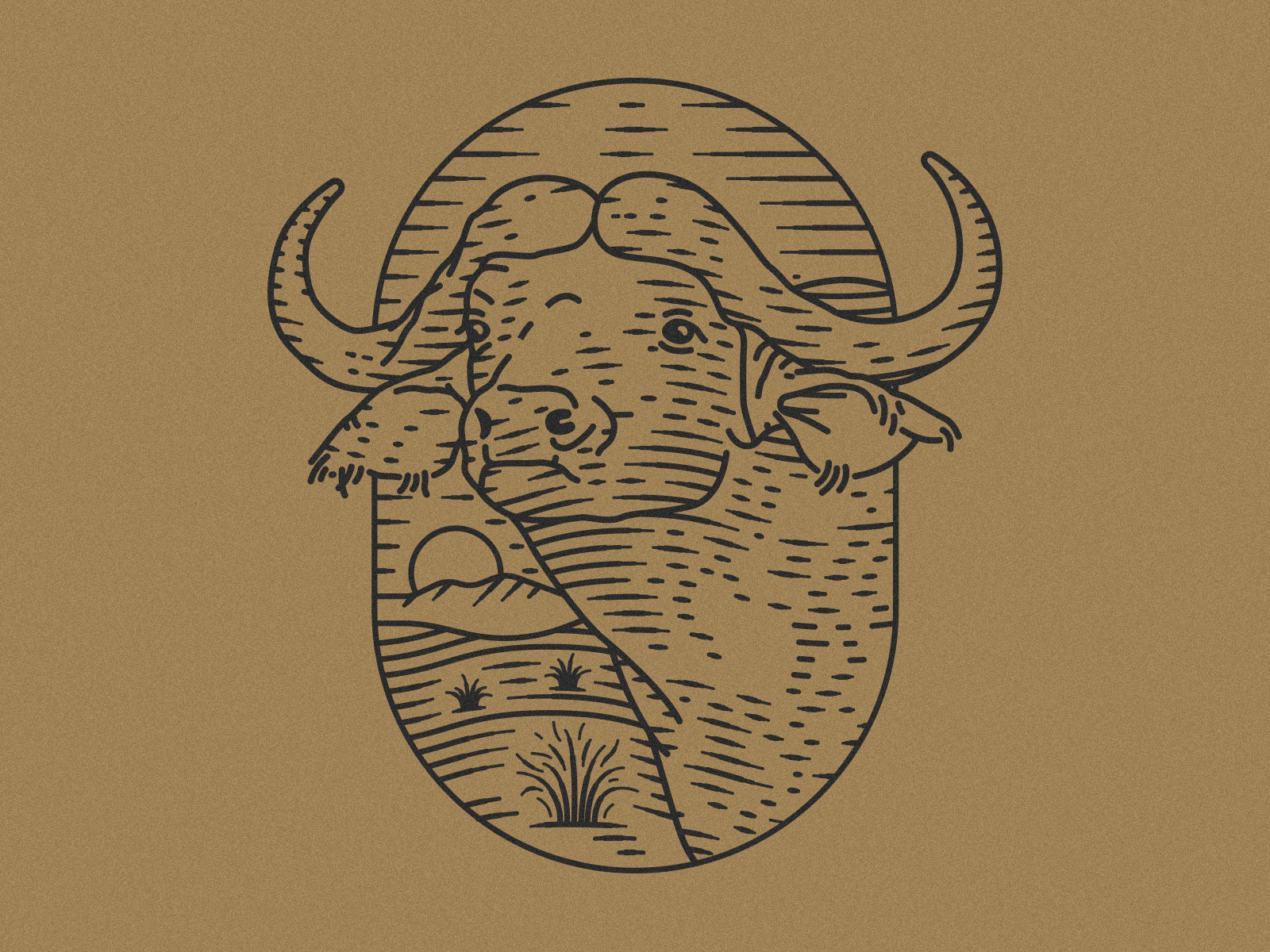 Cape Buffalo animal animal art animal illustration buffalo cape buffalo illustration lineart south africa