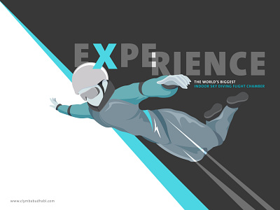 Experience FLY