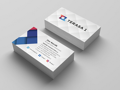 Terasa 1   - Business Card Design