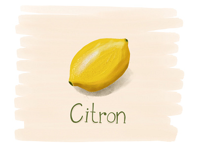 Lemon adobefresco drawing fresco fruit illustration ipad lemon painting ukkustration