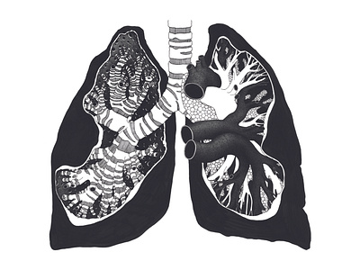 Lungs