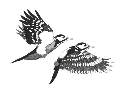 The Woodpeckers animals art bird birds black black and white dots flying hand drawn illustration ink lines white wings woodpecker