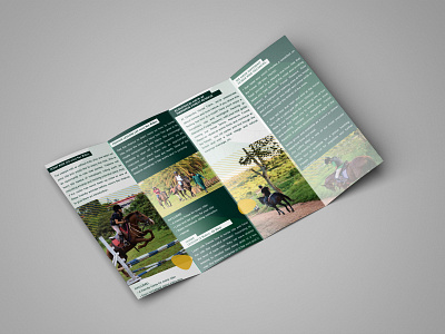 Brochure design graphic design