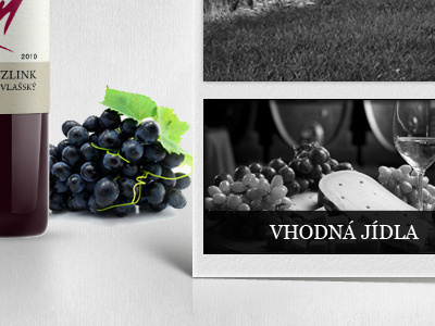 Web Vino Uricar website wine wineyard