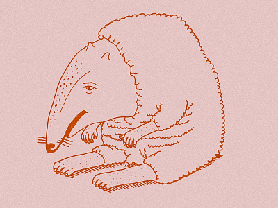 Badger illustrate illustration