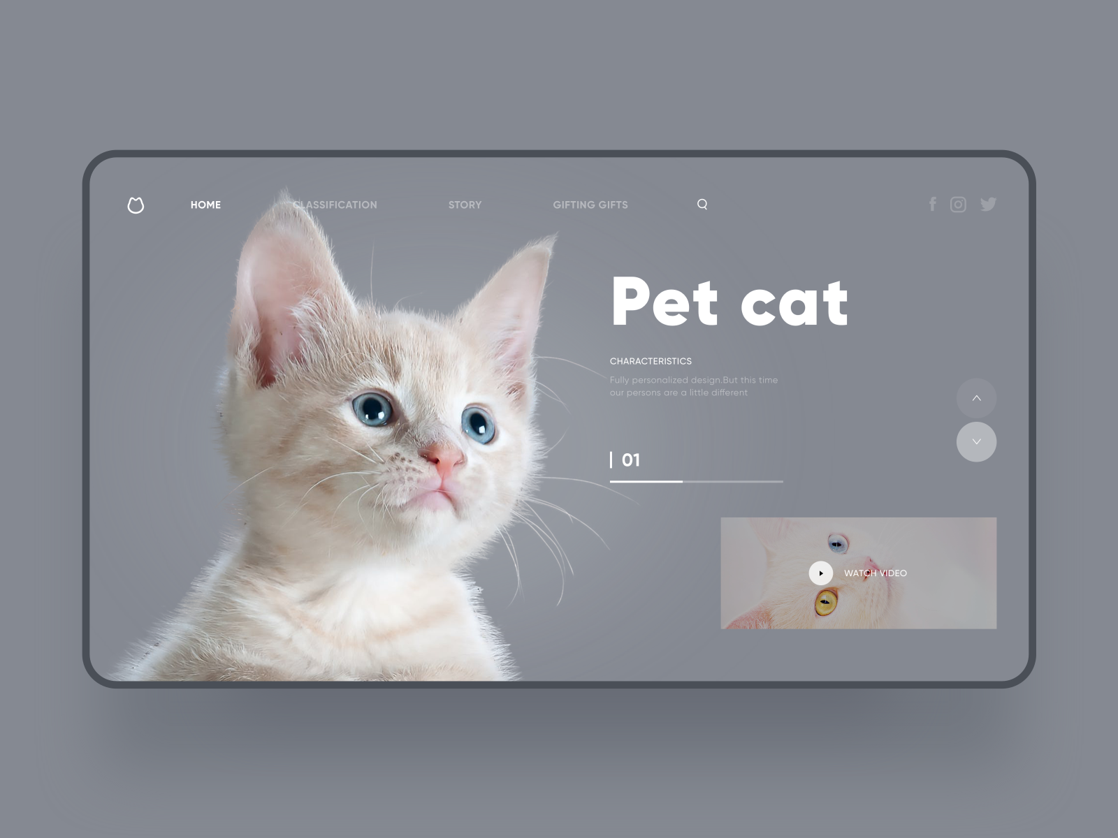 pet-cat-web-design-by-baolin-for-uigreat-studio-on-dribbble