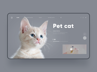 Pet Cat Web Design app cat clean cute design fashion flat illustration office officer pet simple store ui ux web webdesign website work