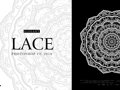 Lace Illustration