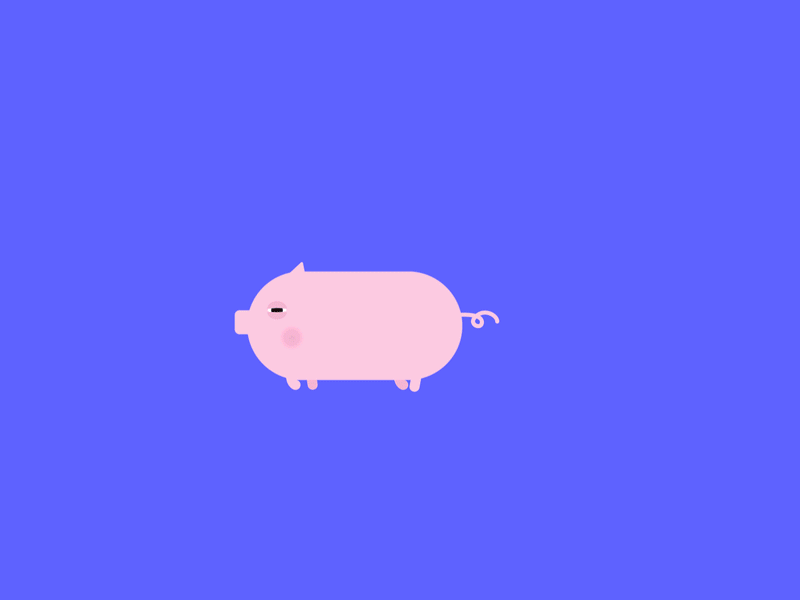 Sick pig 2019 action icon illustration motion design pig