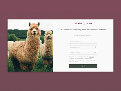 Sign Up Page- Llama land branding clean design sharpen.design ui ui challenge ux website