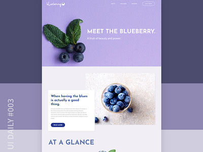 UI Daily #003 Landing Page