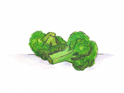 100DayProject Broccoli broccoli food illustration paint veggie watercolor