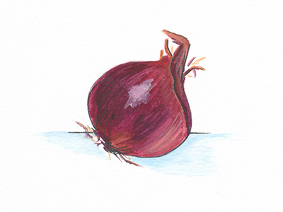 100DayProject Redonion food illustration onion paint veggie watercolor