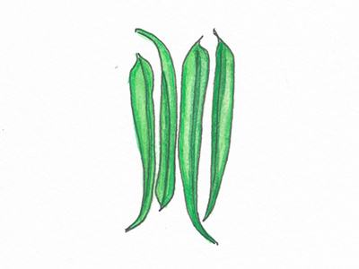 100DayProject Stringbeans food illustration paint vegetable watercolor