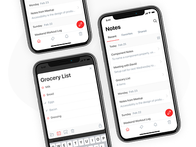 Notes App for iOS app design icon ios iphone list mobile notes red reminders todo ui