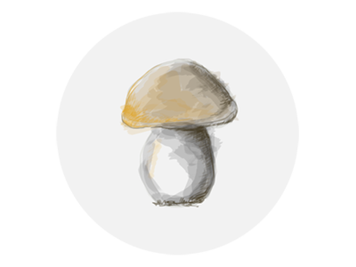 Mushroom - Boletus (Fungus) design illustration web website
