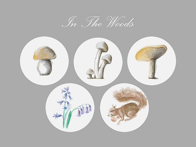 In The Forrest digital art flower icon illustration mushrooms photoshop tablet website woods