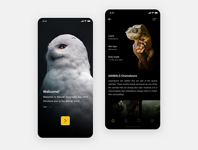 National geographic UI Design App app application design minimal minimalist sketch ui ux web website