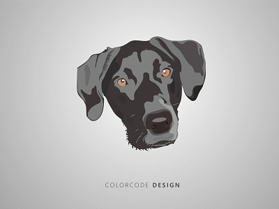 Dog illustration