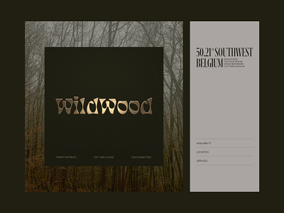 Wildwood • Off-Grid Cabins 3d art direction branding cinema 4d cinema4d graphic design grid layout typography ux
