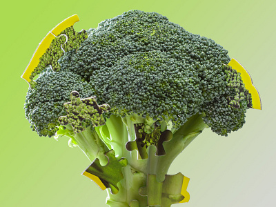 Broccoli Puzzle areaware broccoli food food and beverage puzzle vegetable