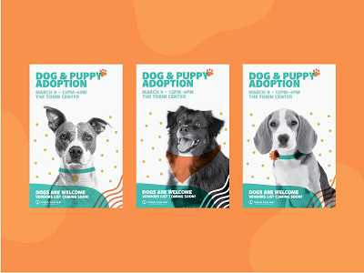 Pet Adoption Event branding design