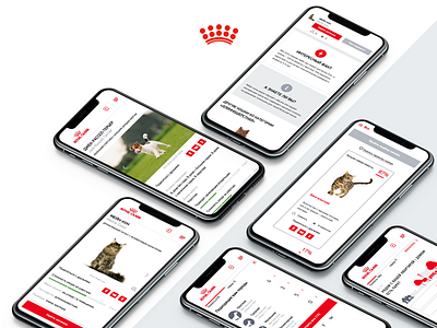 Royal Canin Breed Finder breed kitten puppy royal canin ui ux web