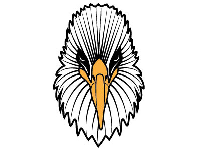 Eagle Vector Image