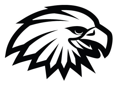 Bald Eagle Vector Image animal bird drawing eagle illustration monochrome vector