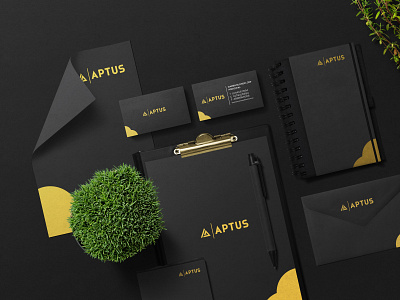 Brand logo and stationery with Brand  guide