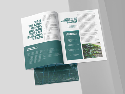 Sustainability report annual report branding colors layout layout design msu report