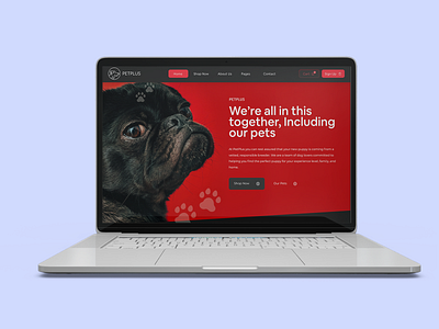 Pet Plus Header View experiment exploration ui ux