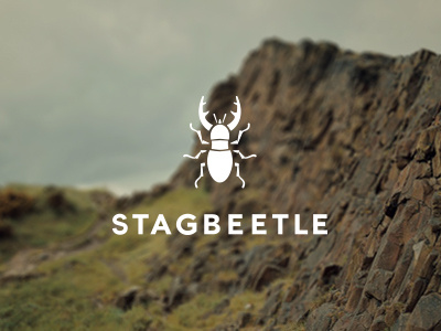 Stagbeetle anatomical boot logo shoe shoe print stagbeetle