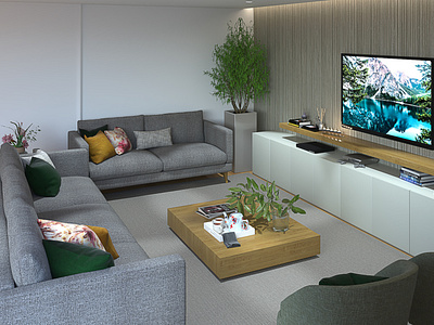 Project Tv Room