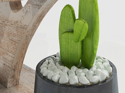 Cactus 3d model 3dmax design photoshop render vray
