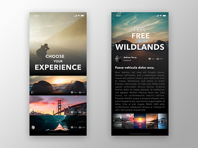 Share your travel experience app concept creative design mobile app design rating review travel travel app trip ui ux ux design