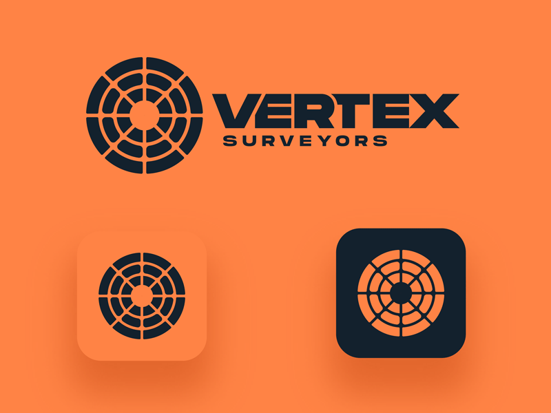 Vertex Logo Process branding color design development logo