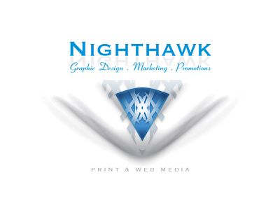 Nighthawk logo logo logo design