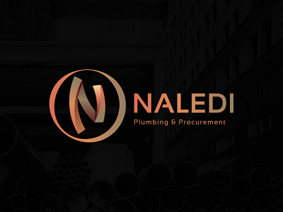 Naledi logo logo logo design
