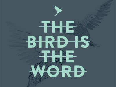 THE BIRD IS THE WORD animal bac bachelor bachelor thesis bird design editorial month print thesis