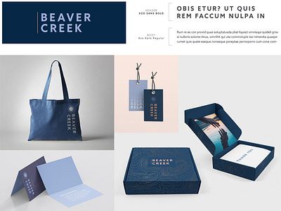 Incentive Trip Branding: Beaver Creek, CO brand identity branding branding and identity colorado design event artwork graphic design incentive incentive trip logo