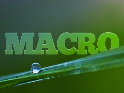 Macro Logo chunk dandelgrosso daniele delgrosso droplet five green logo macro photography water