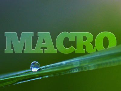 Macro Logo