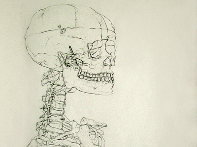 Blind Contour Skeleton Drawing