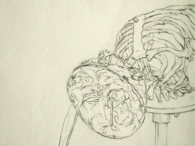Blind Contour Skeleton Study charcoal line drawing line quality arches blind contour drawing paper ribcage ribs skeleton skull