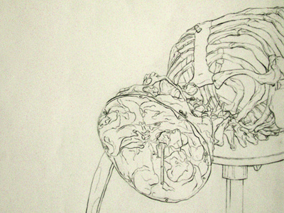 Blind Contour Skeleton Study