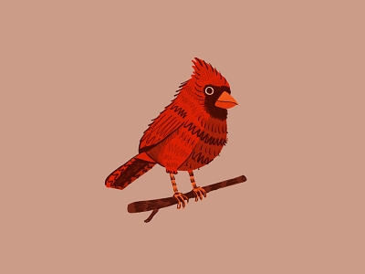 Cardinal Friend bird cardinal ipad pro